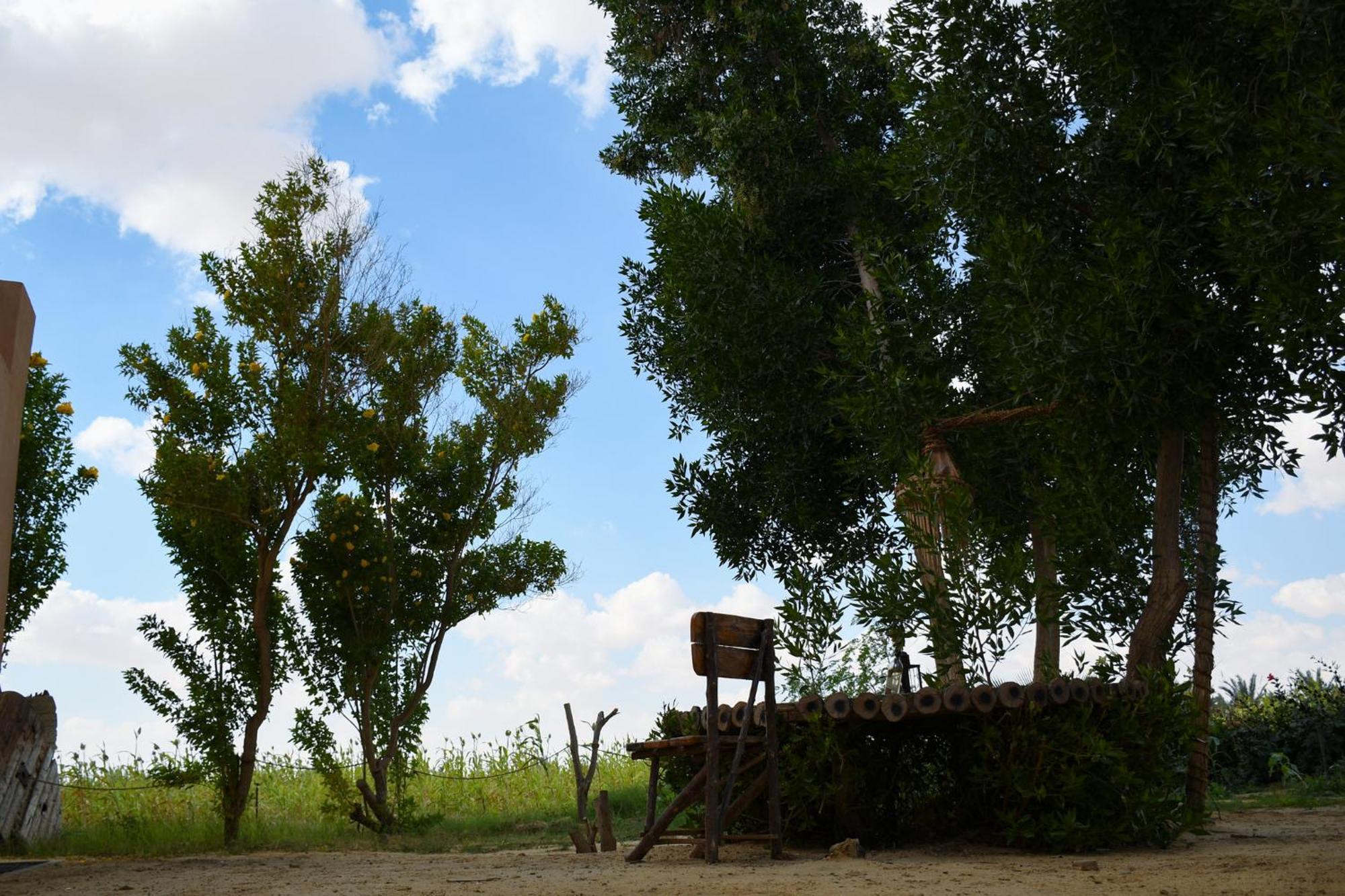 Willa Tzila Bahariya Bahariya Oasis Zewnętrze zdjęcie